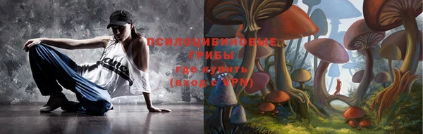 стафф Снежногорск