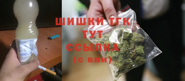 стафф Снежногорск