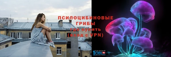 стафф Снежногорск