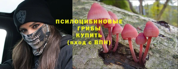ECSTASY Слюдянка
