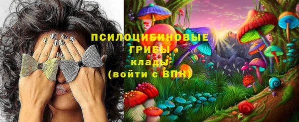 ECSTASY Слюдянка