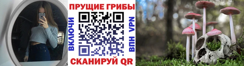 Галлюциногенные грибы Psilocybe  Полтавская 